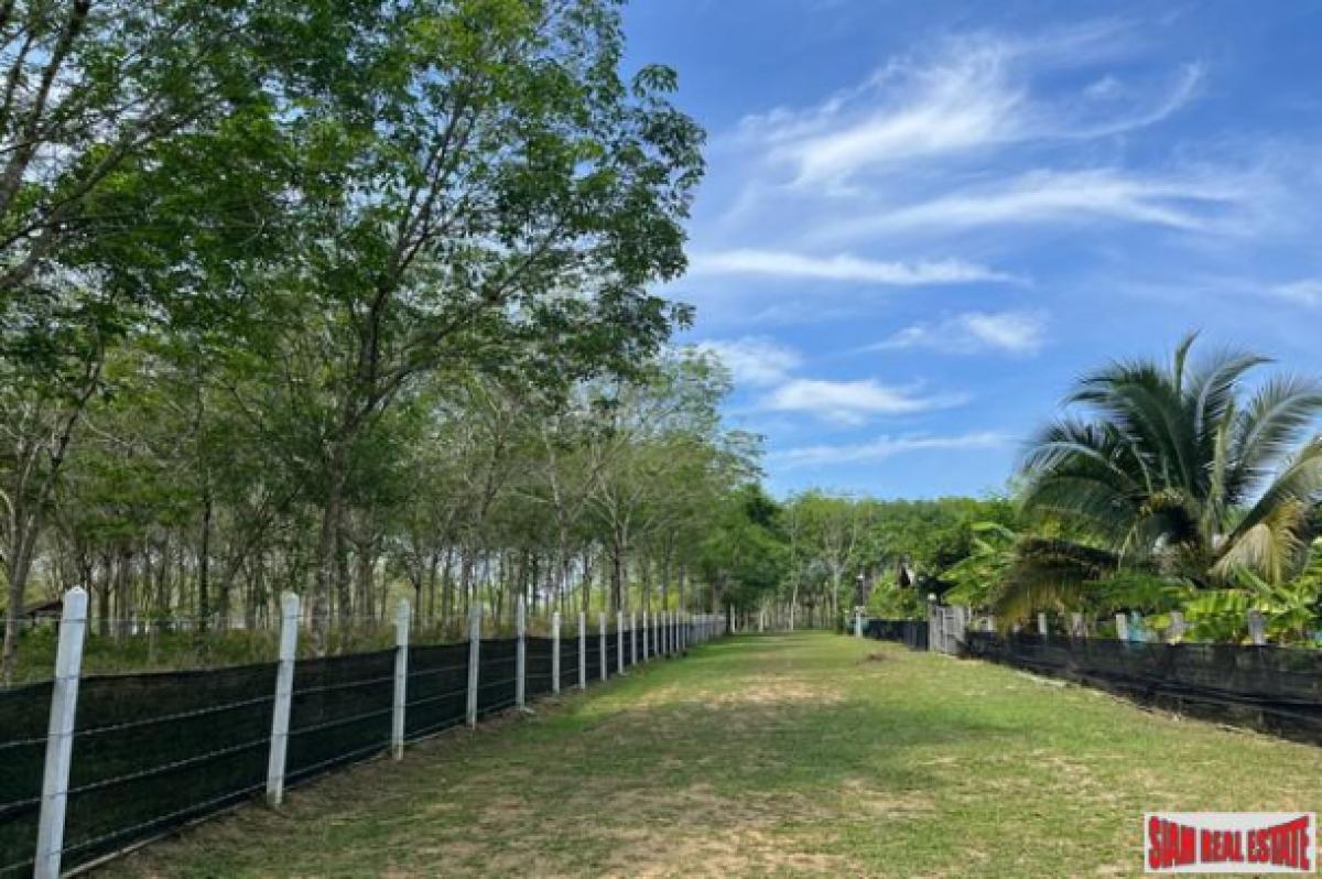 Picture of Apartment For Sale in Mueang Phang Nga, Phang Nga, Thailand