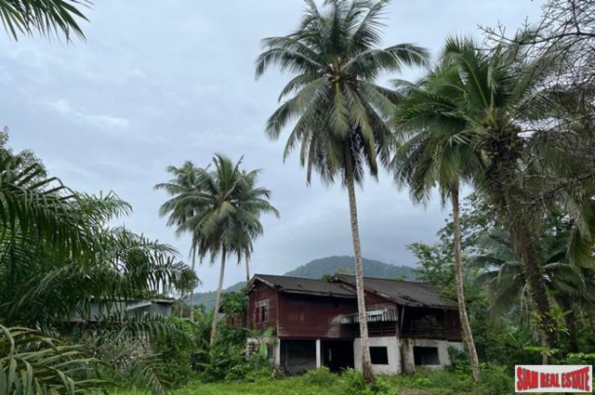 Picture of Residential Land For Sale in Mueang Phang Nga, Phang Nga, Thailand