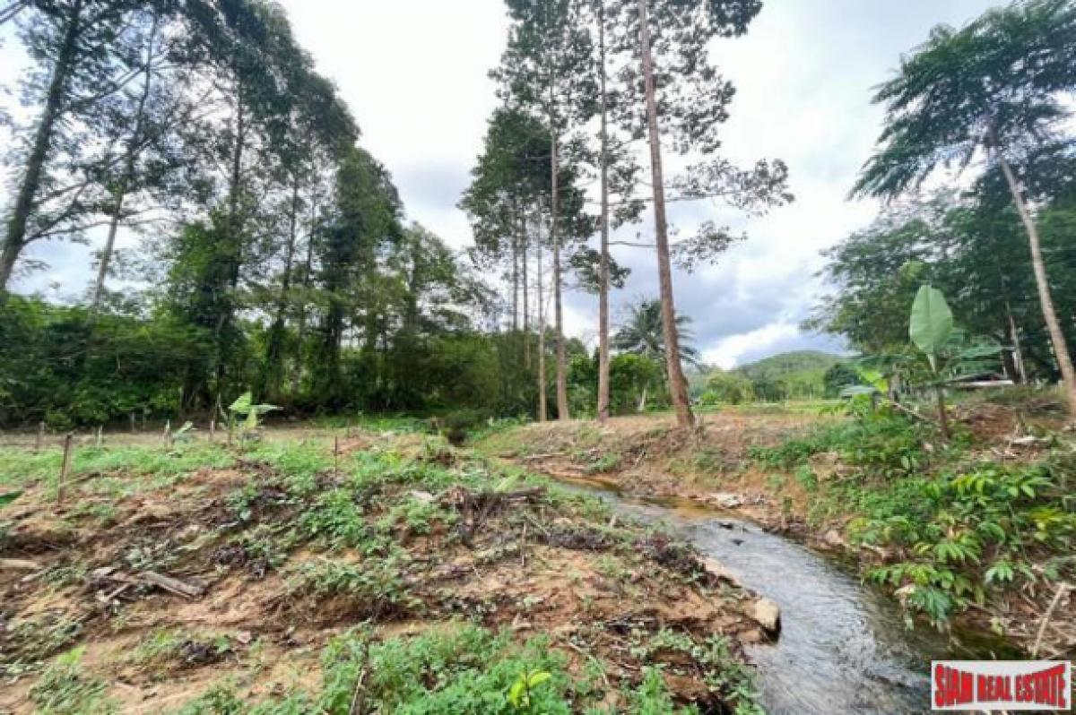 Picture of Residential Land For Sale in Mueang Phang Nga, Phang Nga, Thailand