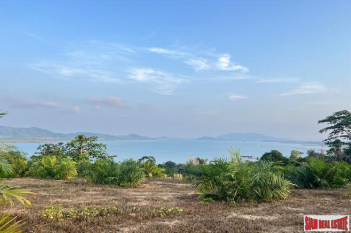 Picture of Residential Land For Sale in Mueang Phang Nga, Phang Nga, Thailand