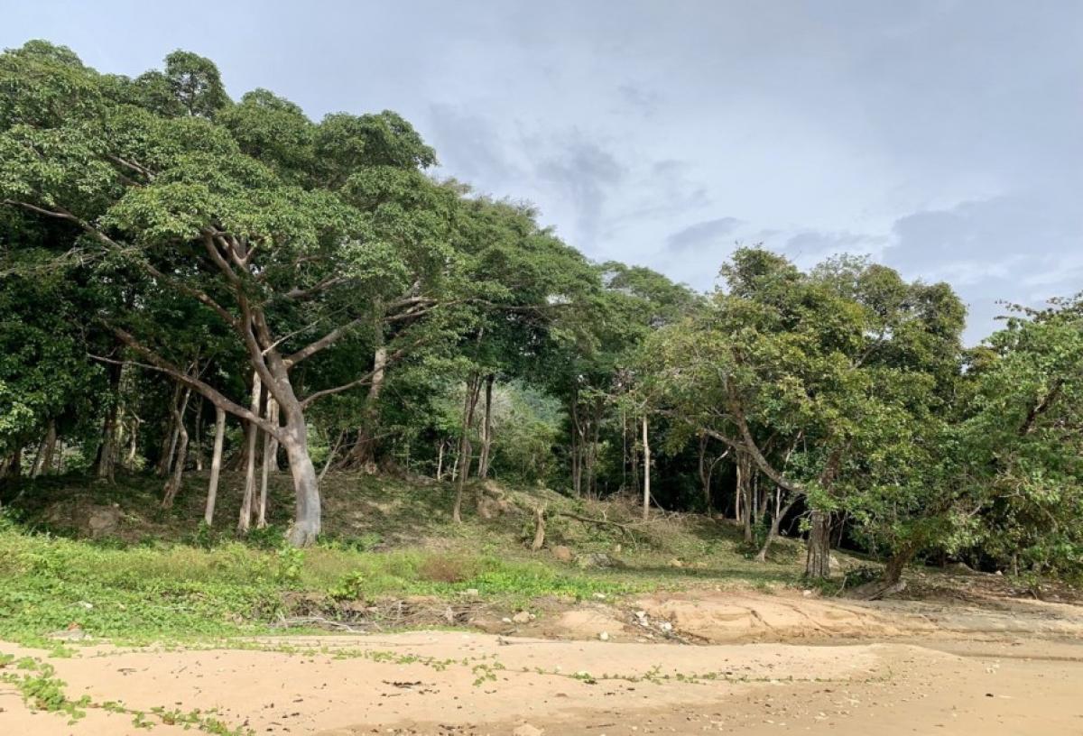 Picture of Residential Land For Sale in Krabi, Krabi, Thailand