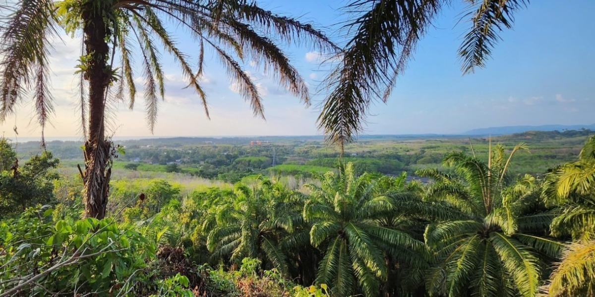 Picture of Residential Land For Sale in Phuket, Phuket, Thailand