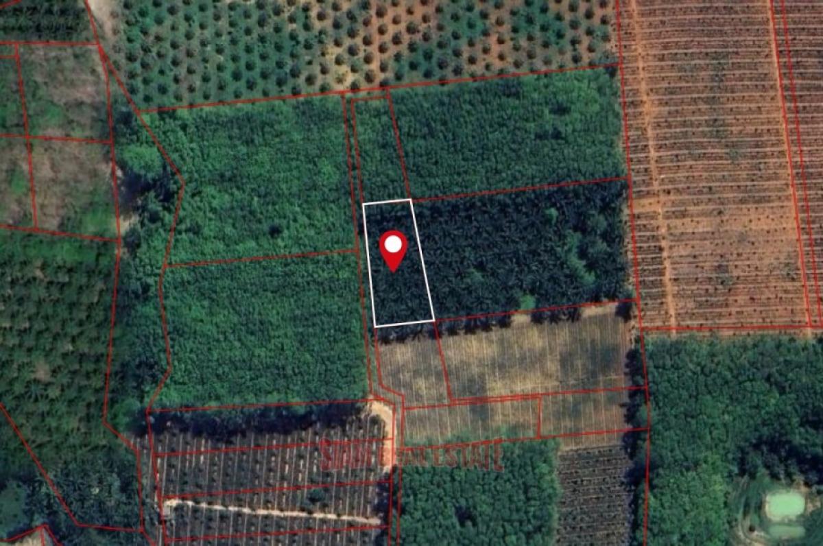 Picture of Residential Land For Sale in Krabi, Krabi, Thailand