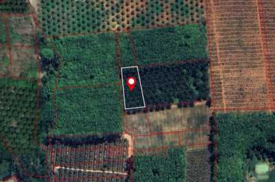 Residential Land For Sale in Krabi, Thailand