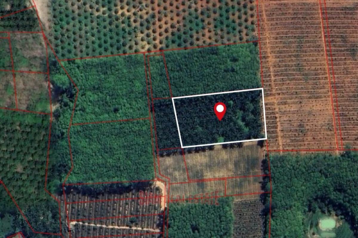 Picture of Residential Land For Sale in Krabi, Krabi, Thailand