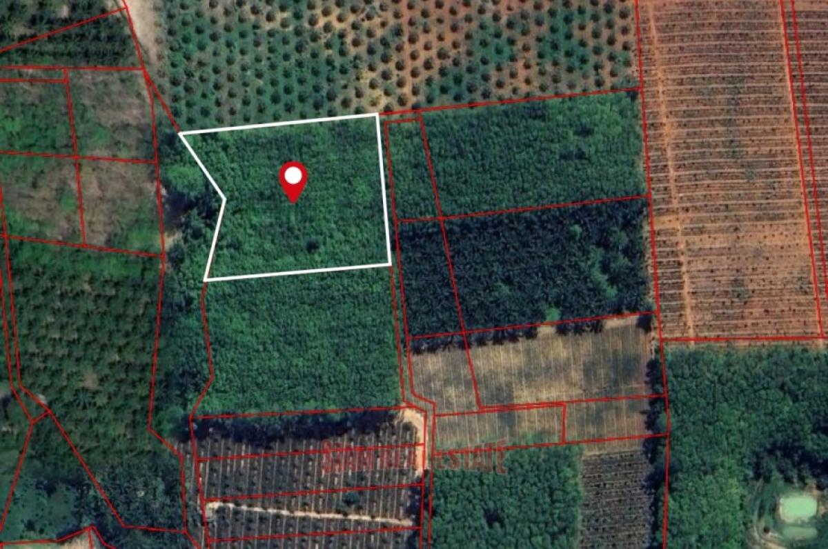 Picture of Residential Land For Sale in Krabi, Krabi, Thailand