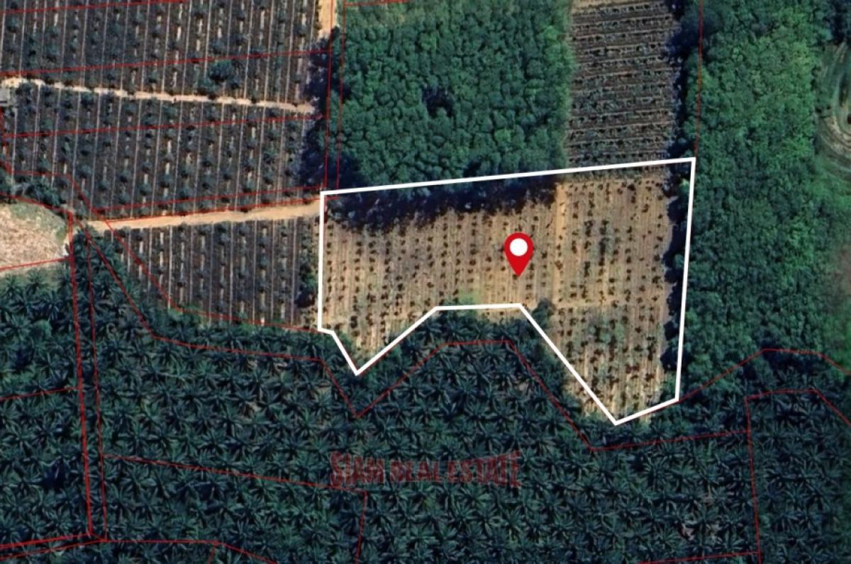 Picture of Residential Land For Sale in Krabi, Krabi, Thailand