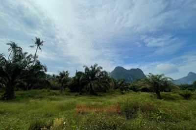 Residential Land For Sale in Krabi, Thailand