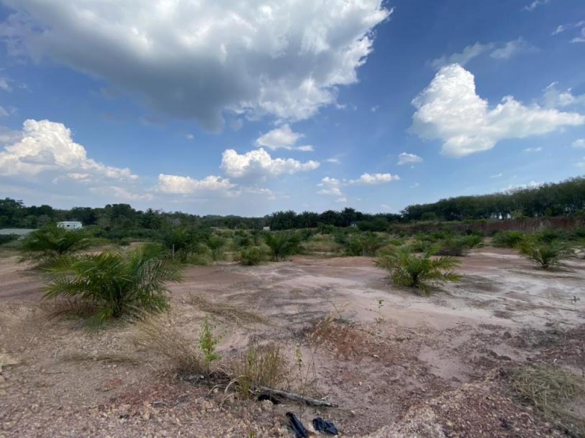 Picture of Residential Land For Sale in Krabi, Krabi, Thailand