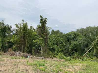 Residential Land For Sale in Krabi, Thailand