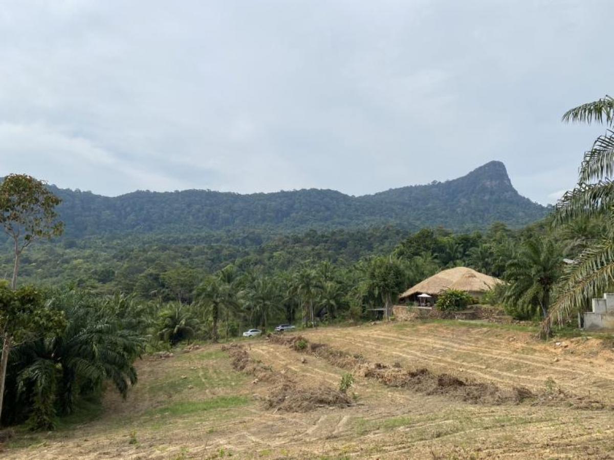 Picture of Residential Land For Sale in Krabi, Krabi, Thailand