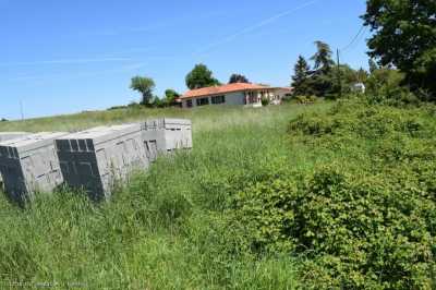 Home For Sale in Nanteuil En Vallee, France