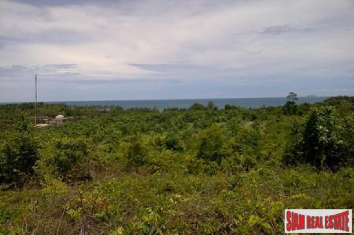 Picture of Residential Land For Sale in Koh Lanta, Krabi, Thailand