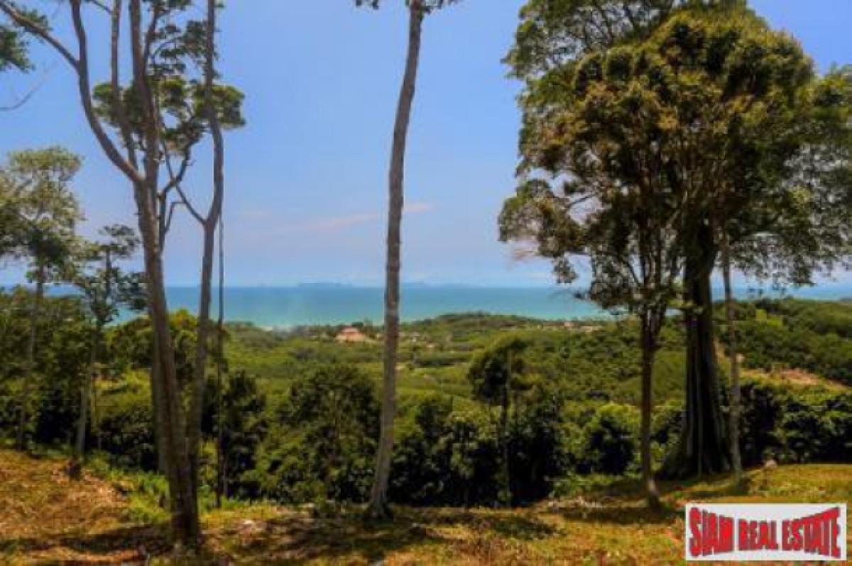 Picture of Residential Land For Sale in Koh Lanta, Krabi, Thailand