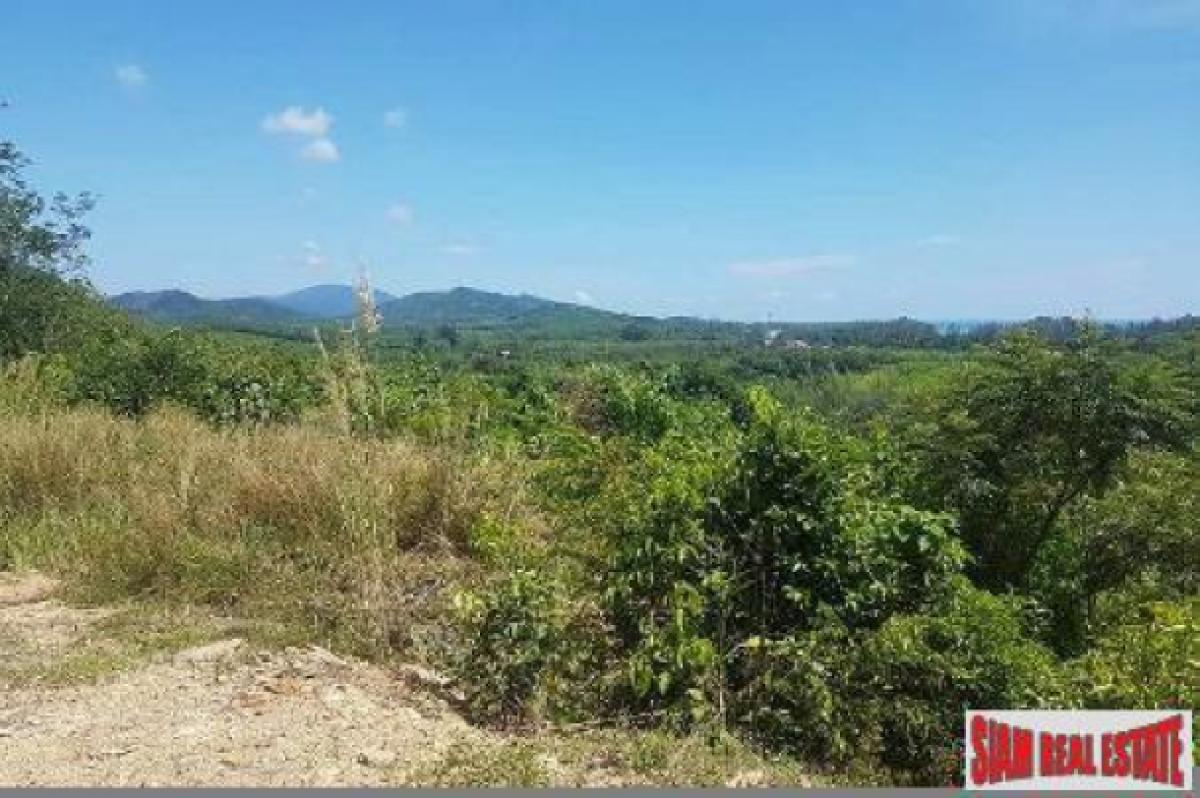Picture of Residential Land For Sale in Koh Lanta, Krabi, Thailand