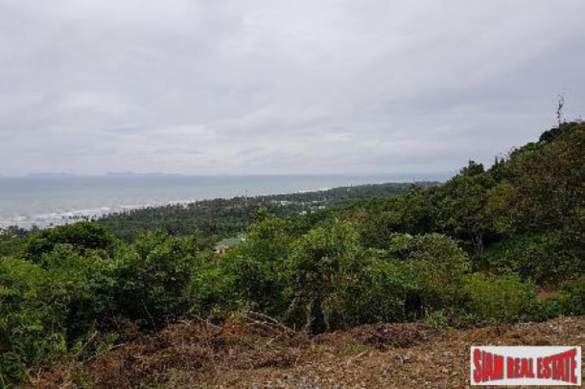 Picture of Residential Land For Sale in Koh Lanta, Krabi, Thailand