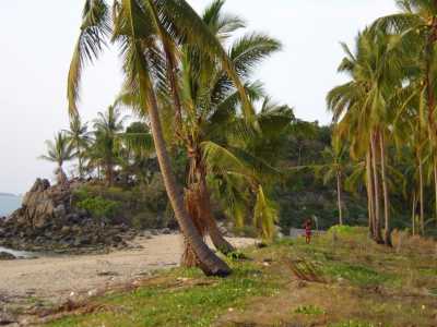 Residential Land For Sale in Koh Lanta, Thailand