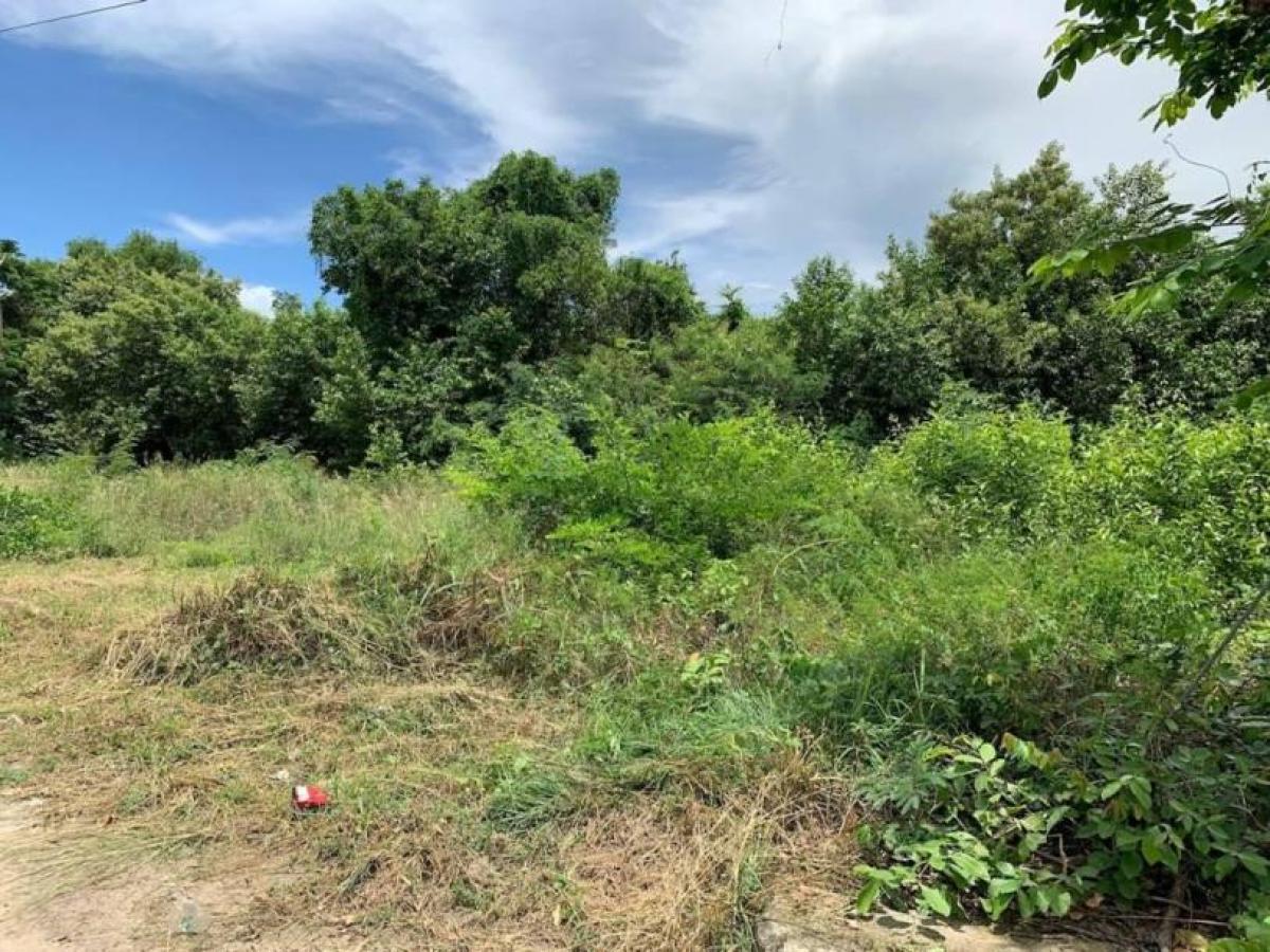 Picture of Residential Land For Sale in Prachuabkirikhan, Prachuap Khiri Khan, Thailand