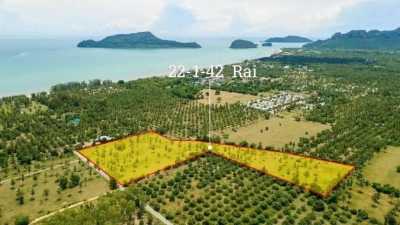 Residential Land For Sale in Prachuabkirikhan, Thailand