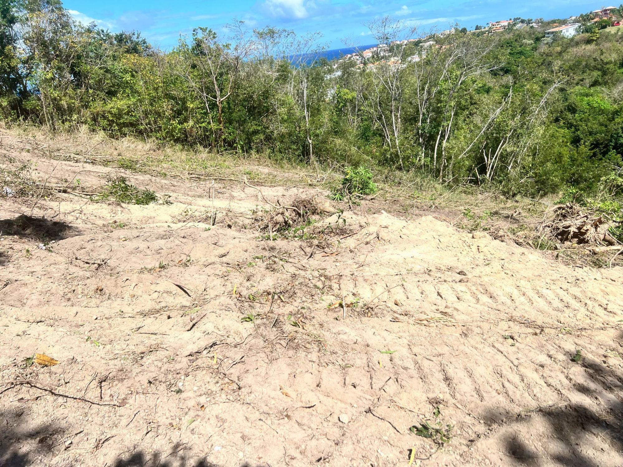 Picture of Development Site For Sale in Humacao, Puerto Rico, Puerto Rico