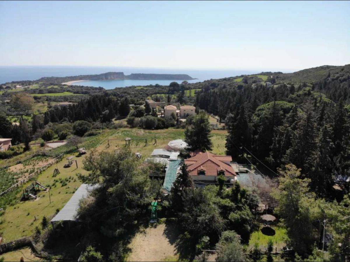 Picture of Retail For Rent in Zakinthos, Attica, Greece