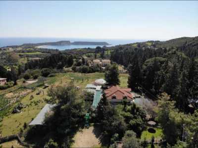 Retail For Rent in Zakinthos, Greece