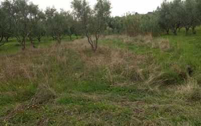 Residential Land For Sale in Zakinthos, Greece
