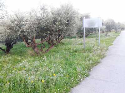 Residential Land For Sale in Zakinthos, Greece
