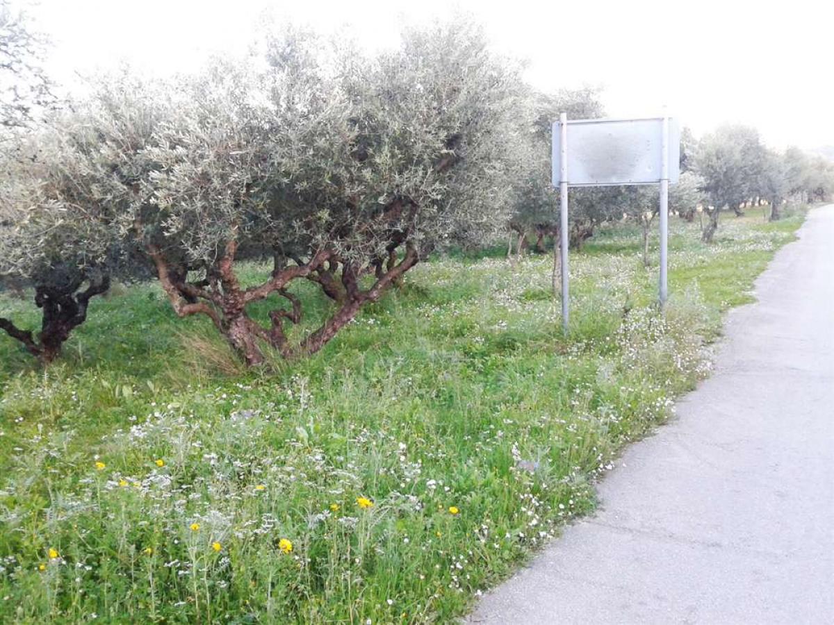 Picture of Residential Land For Sale in Zakinthos, Attica, Greece