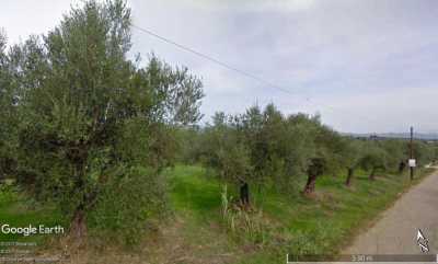 Residential Land For Sale in Ilia, Greece