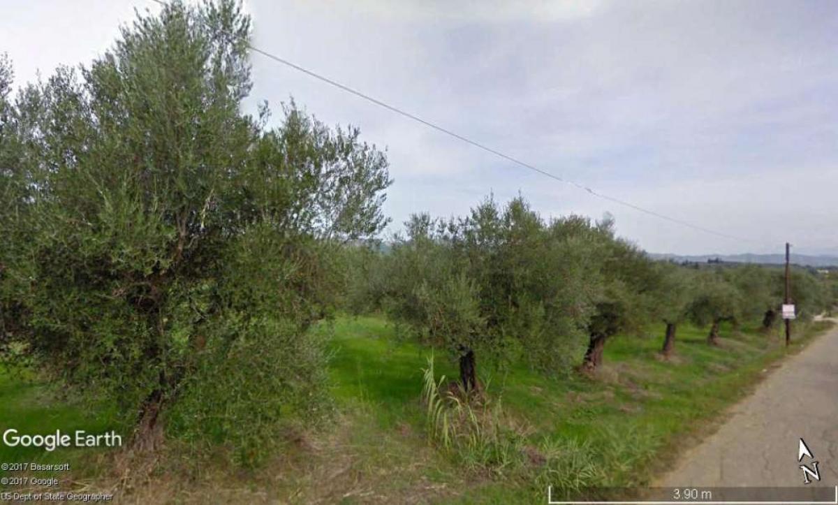 Picture of Residential Land For Sale in Ilia, Other, Greece