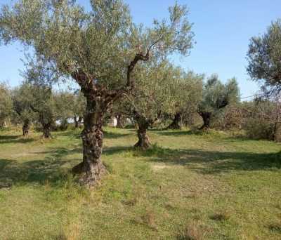 Home For Sale in Zakinthos, Greece
