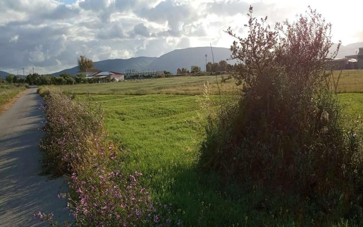 Picture of Residential Land For Sale in Zakinthos, Attica, Greece