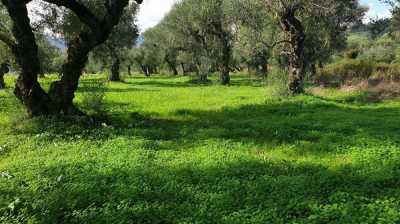 Residential Land For Sale in Zakinthos, Greece