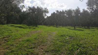 Residential Land For Sale in Zakinthos, Greece