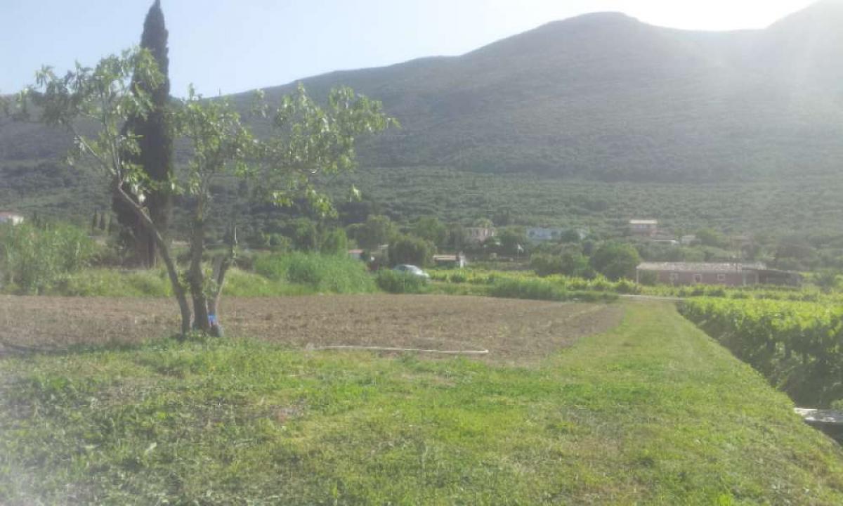 Picture of Residential Land For Sale in Zakinthos, Attica, Greece
