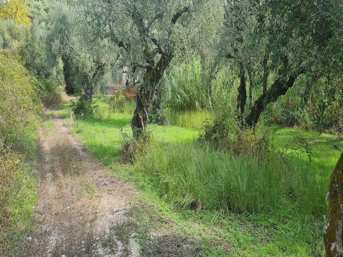 Picture of Residential Land For Sale in Zakinthos, Attica, Greece