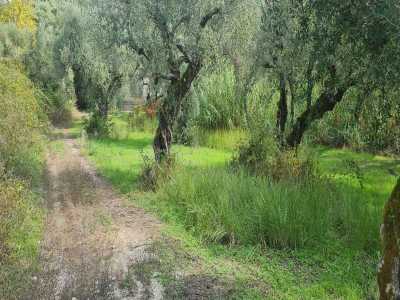 Residential Land For Sale in Zakinthos, Greece