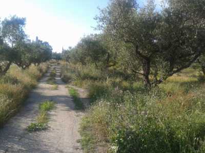 Residential Land For Sale in Zakinthos, Greece