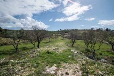Residential Land For Sale in 