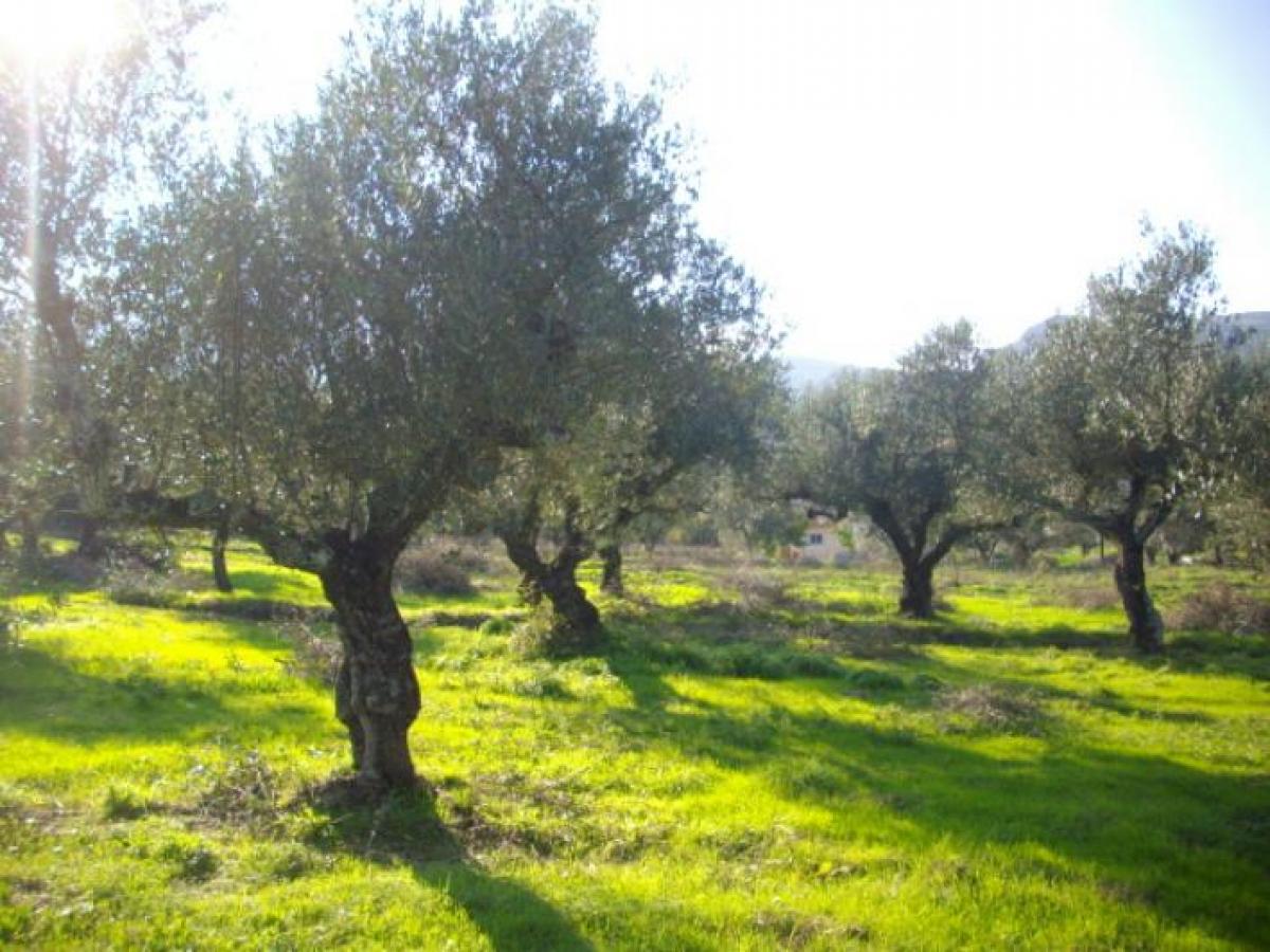 Picture of Residential Land For Sale in Zakinthos, Attica, Greece