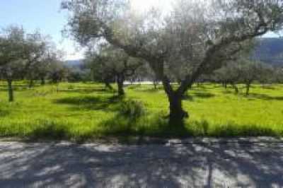 Residential Land For Sale in Zakinthos, Greece