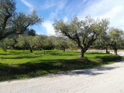 Residential Land For Sale in 