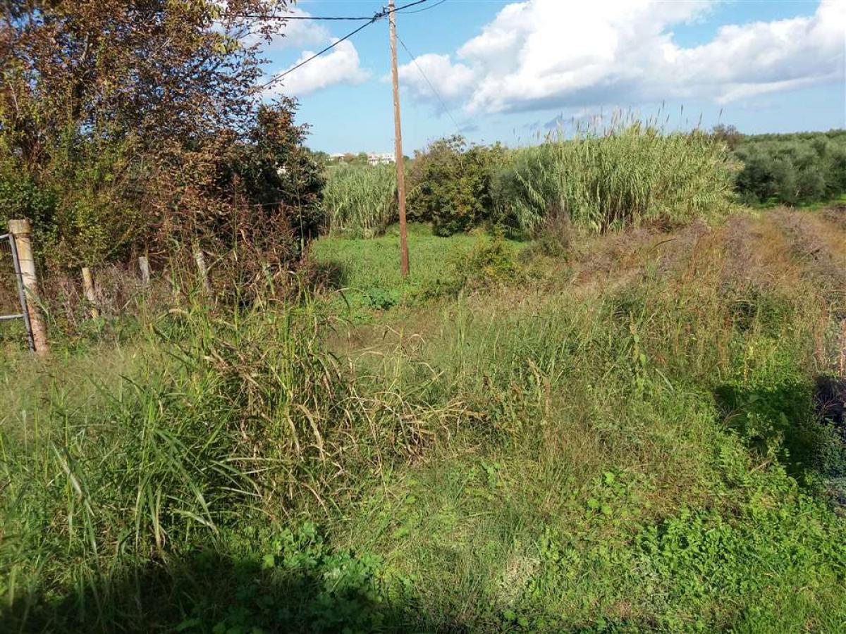 Picture of Residential Land For Sale in Zakinthos, Attica, Greece