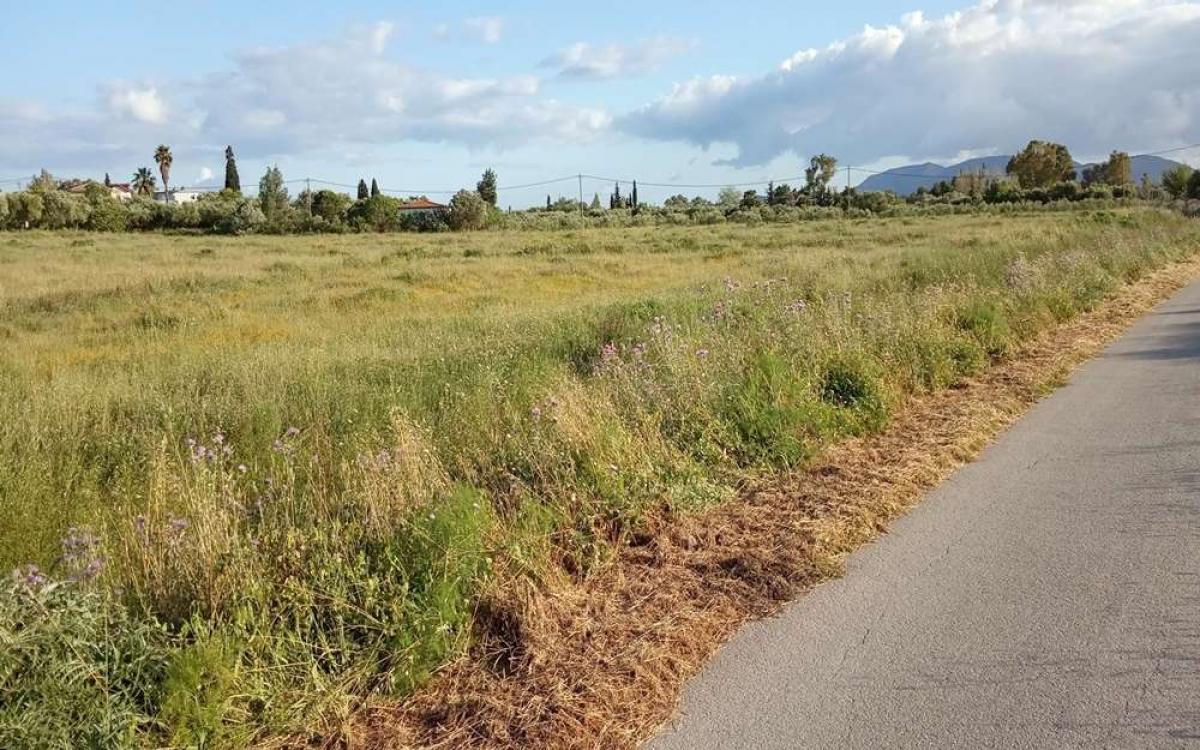Picture of Residential Land For Sale in Zakinthos, Attica, Greece