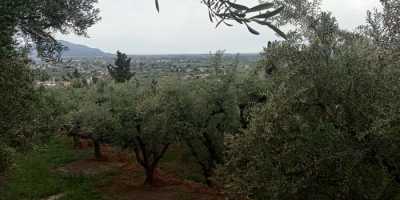Residential Land For Sale in Zakinthos, Greece