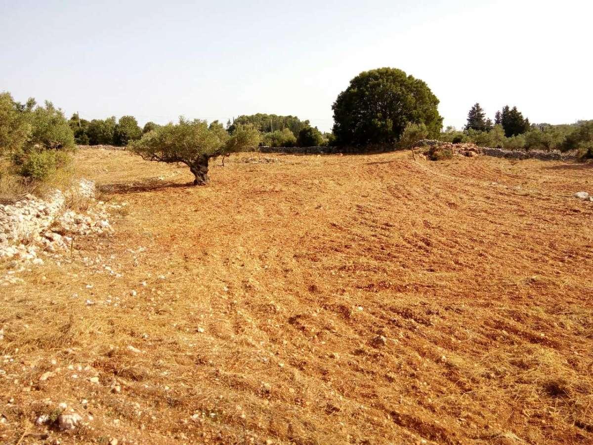 Picture of Residential Land For Sale in Zakinthos, Attica, Greece