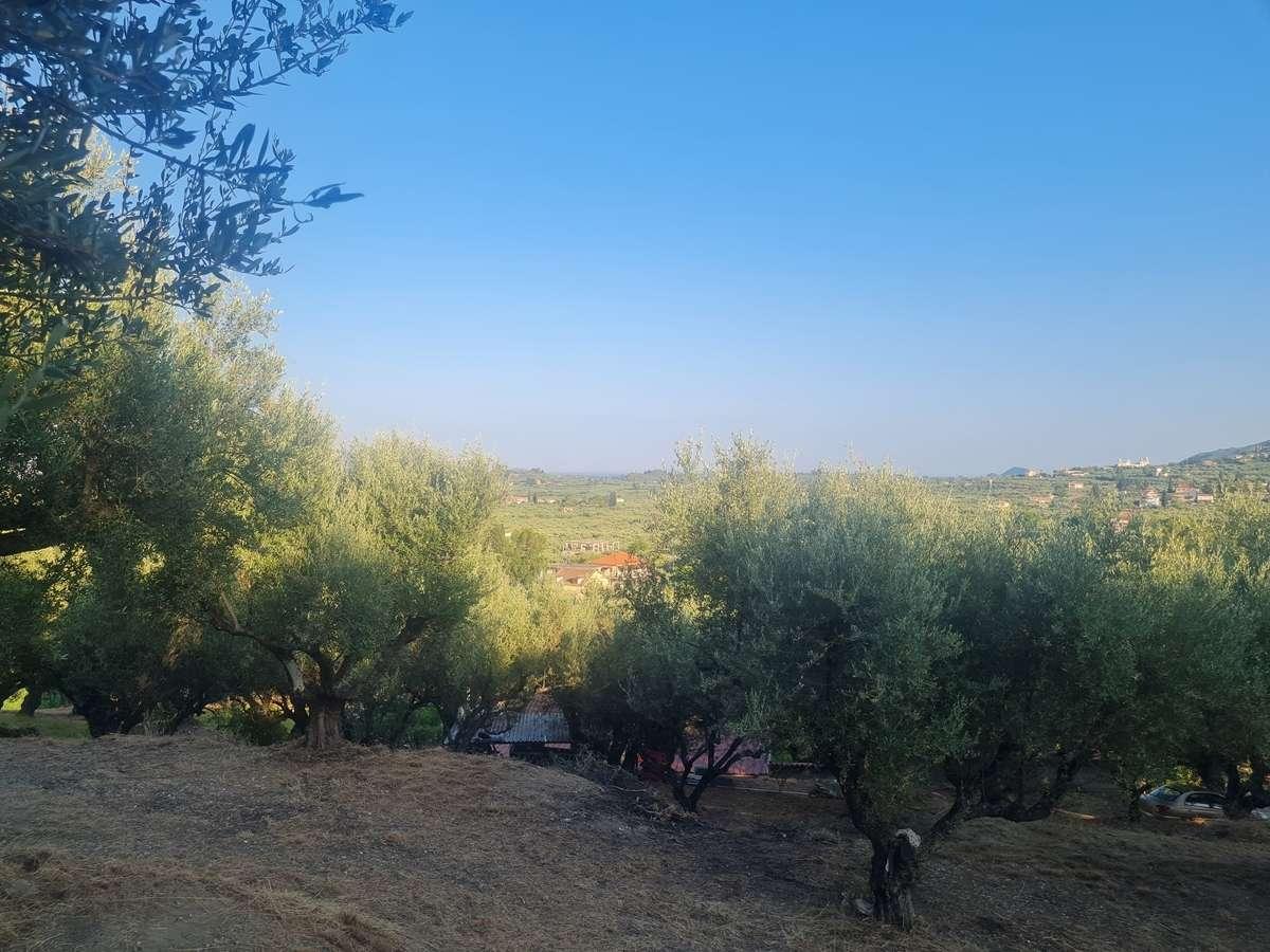 Picture of Residential Land For Sale in Zakinthos, Attica, Greece