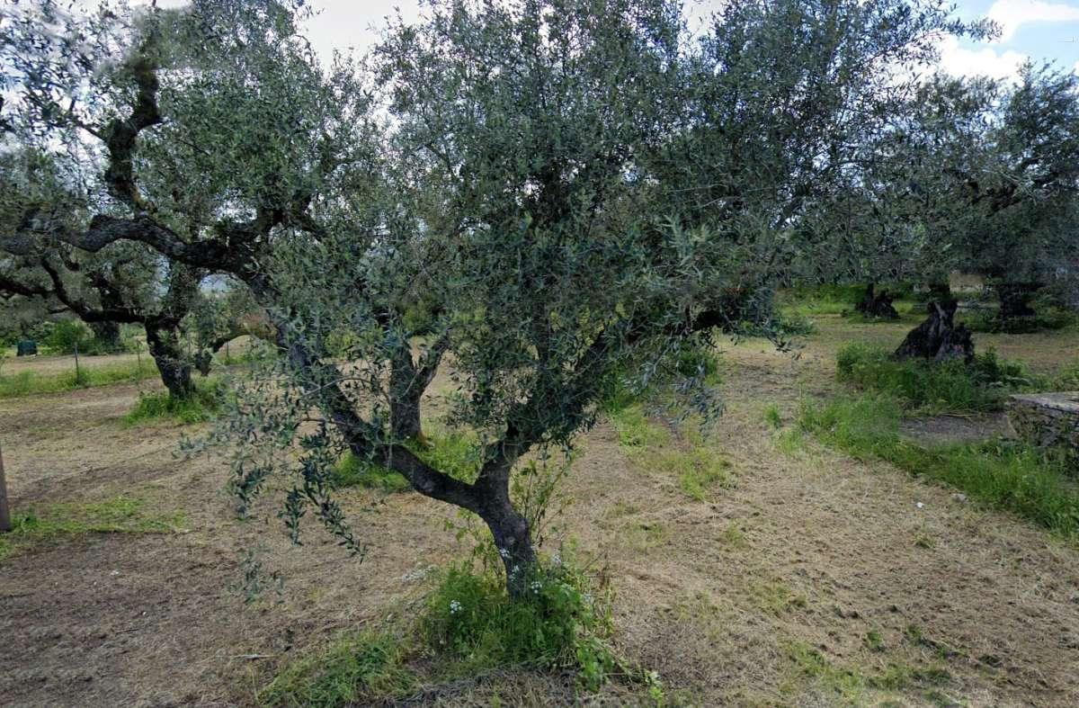 Picture of Residential Land For Sale in Zakinthos, Attica, Greece