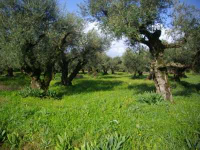 Residential Land For Sale in Zakinthos, Greece